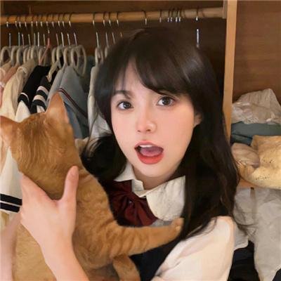 驶入心途